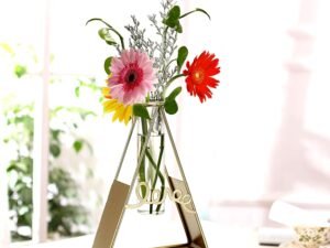 BHARATWALA Propagation Station with Metal Holder Glass Test Tube Vase Pot for Flower Plants Home Decor Office Living Room Bedroom Table Balcony Decoration Items (Gold, 20.3 cm x 15.2 cm)